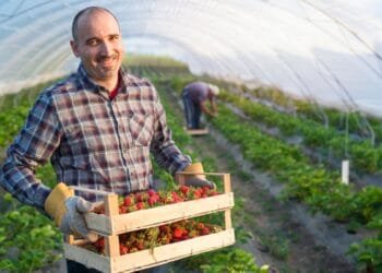 Imagem: Freepik/reprodução