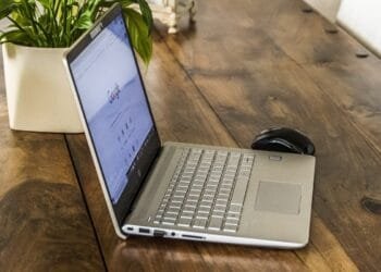 Ter uma plantinha na sua mesa de trabalho pode fazer grande diferença! Imagem: Pixabay/reprodução